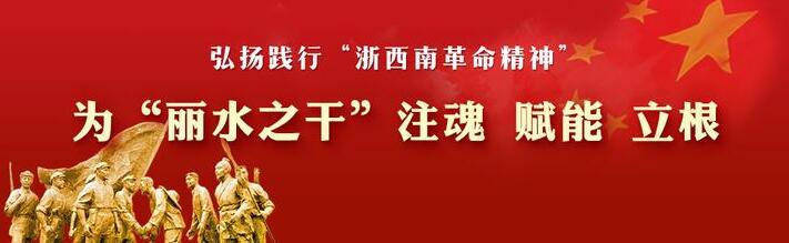 主发布人胡海峰 发布“浙西南革命精神”研究成果