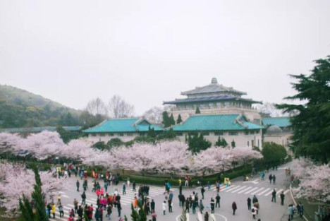 武大学生：冯教授，方方日记，我们不看