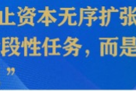 左大培：放任外资在华无序扩张才不是好事