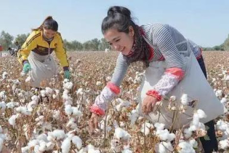 美国为什么会认为新疆在用奴隶摘棉花？