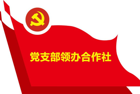 于涛：为啥要搞“党支部领办合作社”？