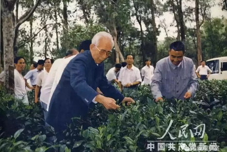 王震临终嘱托！看完泪流满面……