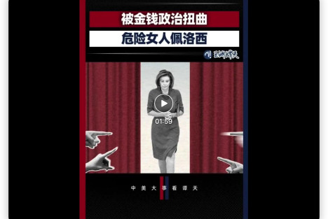 佩洛西，一个被金钱政治扭曲的危险女人