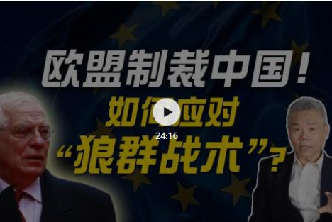 司马南：欧盟32年来首次对华制裁！中国如何应对“群狼战术”