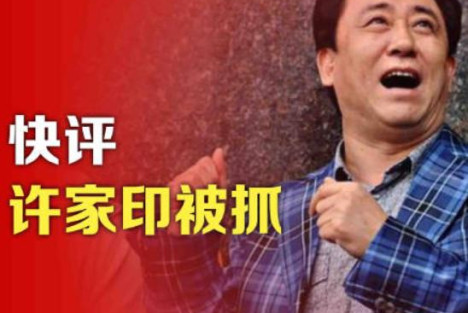 陈先义：抓捕许家印，大快民心！