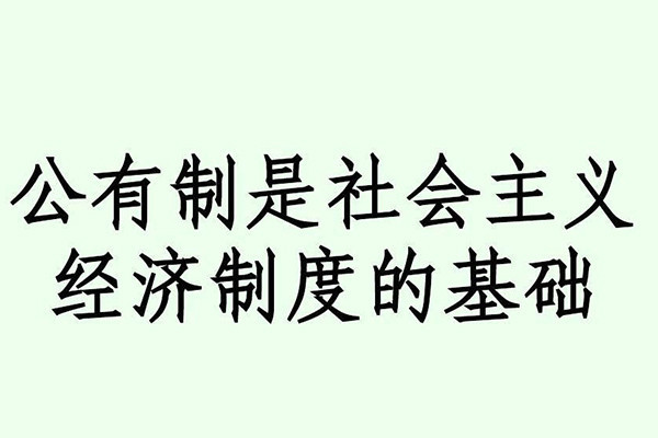 张作云：评价某种所有制优劣的“标准”是什么？