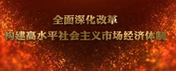 田磊：什么是高水平社会主义市场经济？