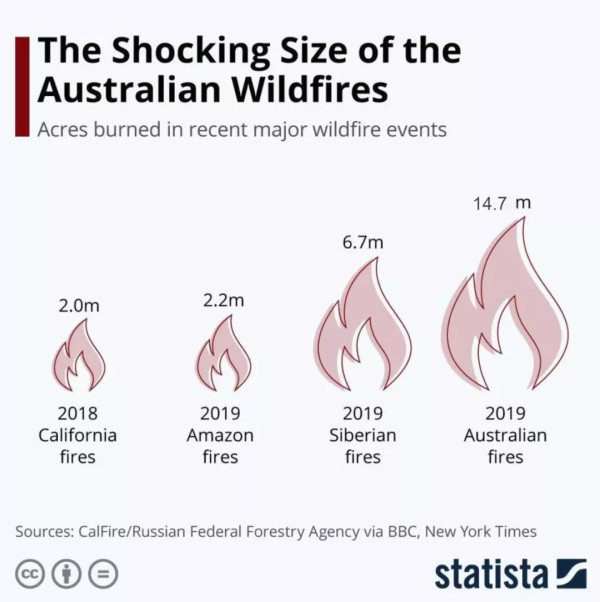 5亿动物被烧死，一场生灵涂炭的超级灾难