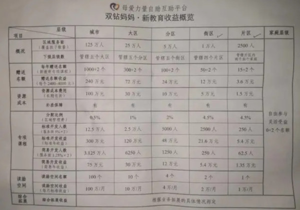 “成都少年志愿者”卷巨款跑路：教育产业化下的蛋