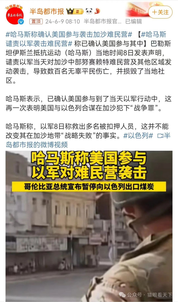 谁在炒作中以混血儿被救出？