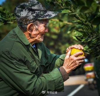 百岁老兵陈训杨：盛光与萤火