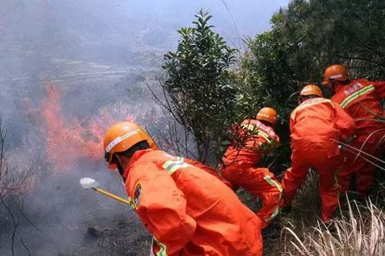 美国近20万人为什么又因一场山火“大逃亡”