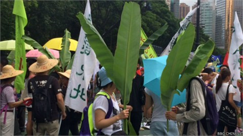 香港七一游行又成大杂烩