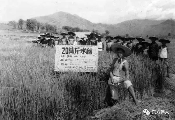 毛泽东：“食堂越大越反革命”