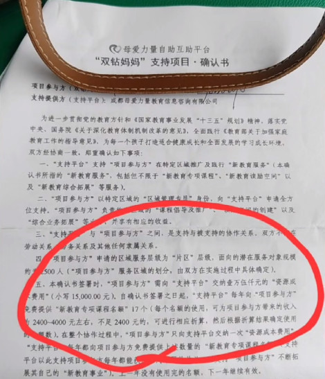 “成都少年志愿者”卷巨款跑路：教育产业化下的蛋