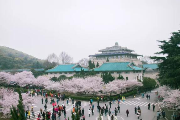 武大学生：冯教授，方方日记，我们不看